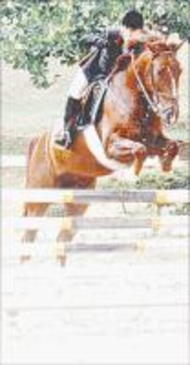 Organizan prueba ecuestre en Cerro Azul