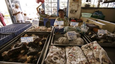 Acodeco presenta lista de precios de pescados