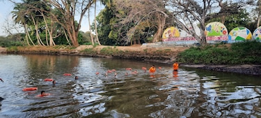 Sinaproc desplegará 448 unidades en ríos, playas y áreas de culecos durante el Carnaval