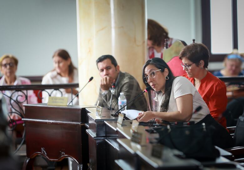 Si no tenemos un plan de ordenamiento seguirá el caos: Red Ciudadana Urbana