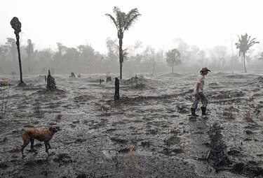 Cien países se comprometen a poner fin a la deforestación en el tercer día de la COP26