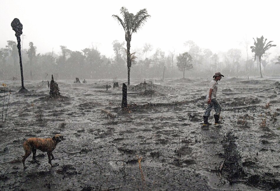Cien países se comprometen a poner fin a la deforestación en el tercer día de la COP26