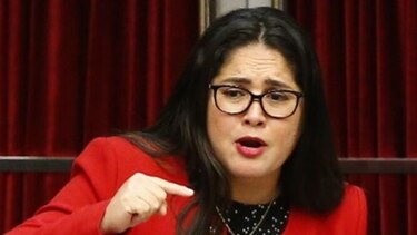 La diputada Zulay Rodríguez propone endurecer norma para obtener la nacionalidad panameña