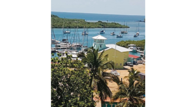 Formarán Cámara de Comercio en costa arriba