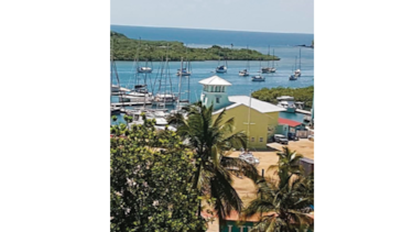 Formarán Cámara de Comercio en costa arriba