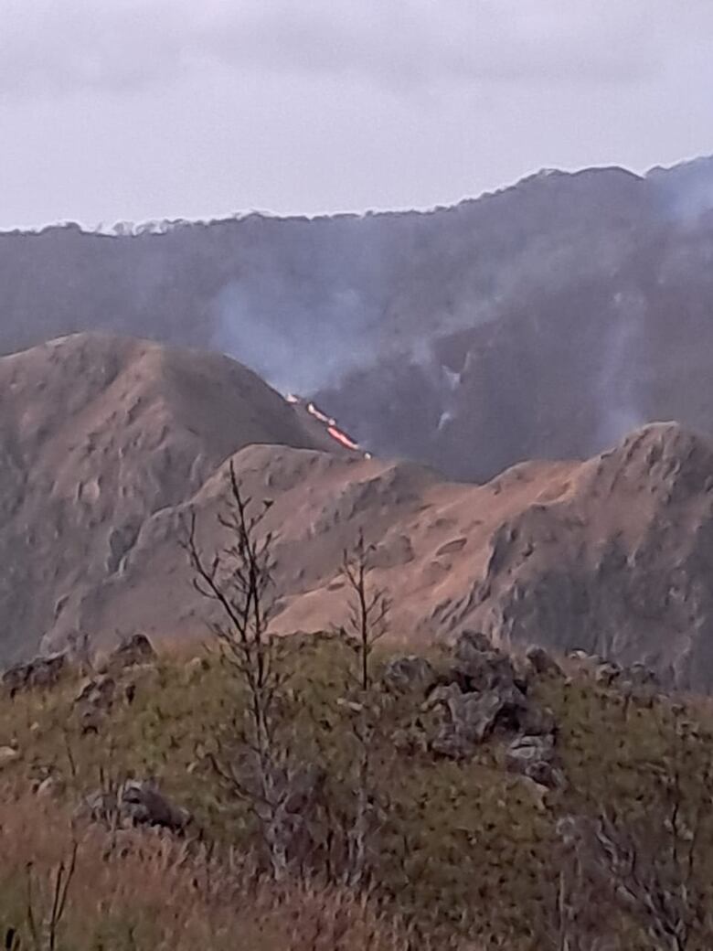 Incendio consume siete hectáreas en el Parque Nacional Altos de Campana