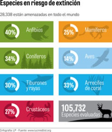 La lista más ‘roja’ de especies amenazadas