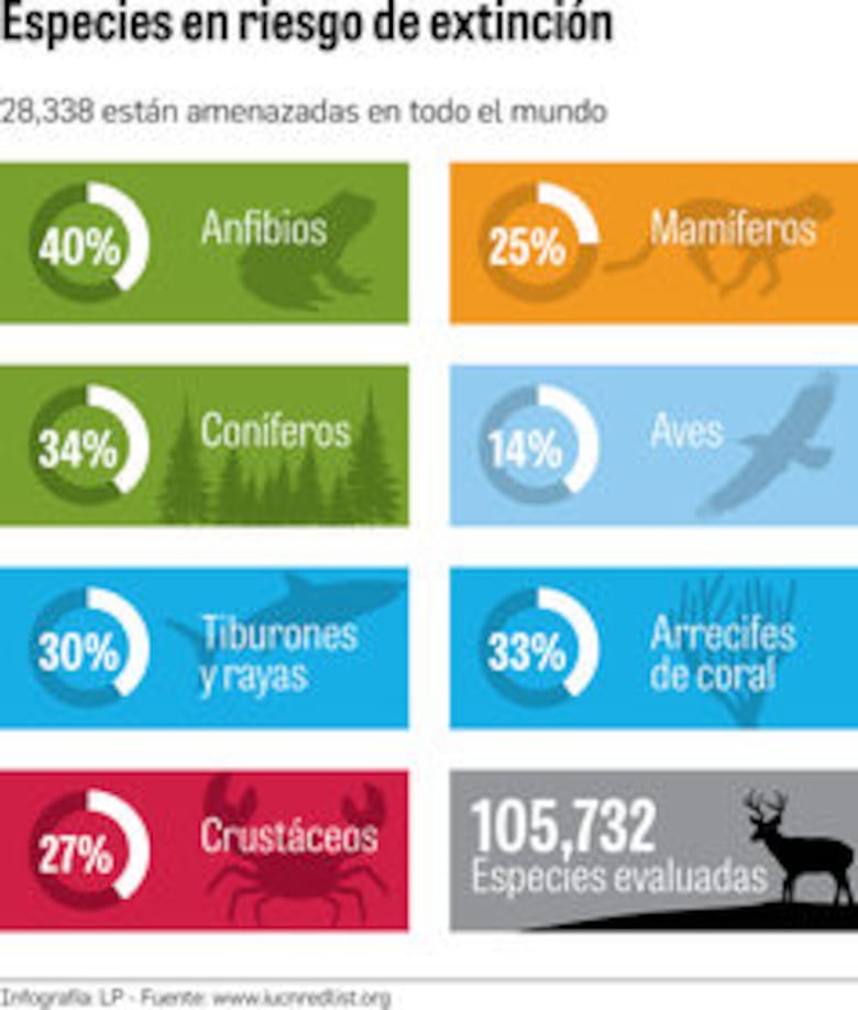 La lista más ‘roja’ de especies amenazadas