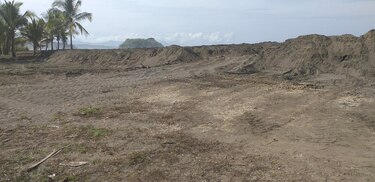 Refugio de tortugas, en riesgo por daño a playa en Veraguas