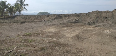 Refugio de tortugas, en riesgo por daño a playa en Veraguas