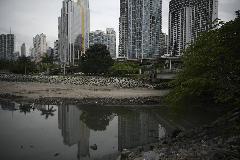 Detectan patógenos causantes de enfermedades a lo largo de la bahía de Panamá