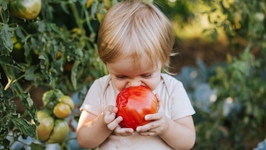 6 formas respaldadas por la ciencia para hacer que los niños coman verduras