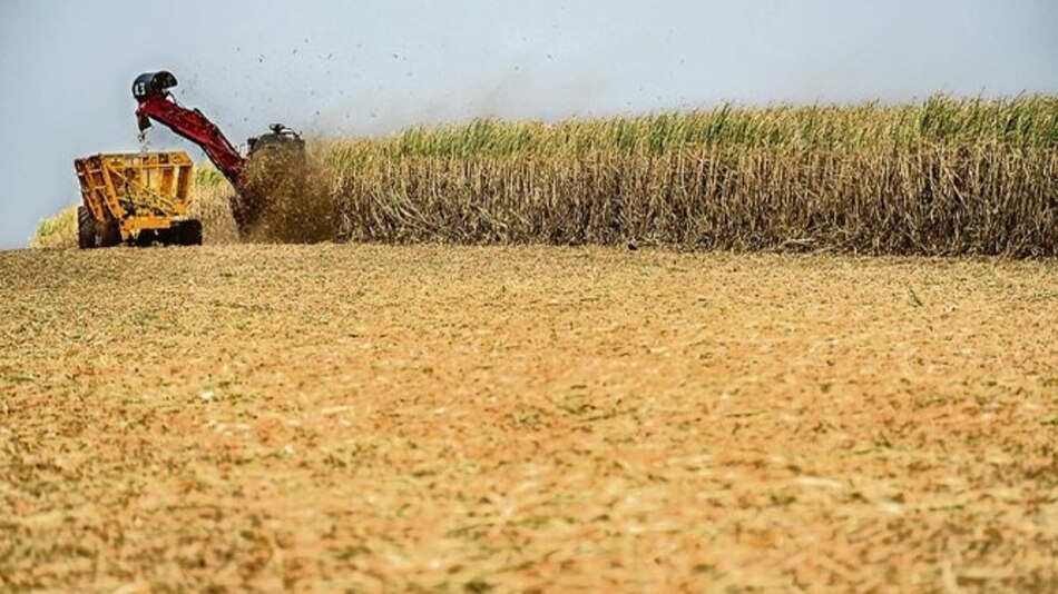 Brasil perderá participación de mercado global del azúcar