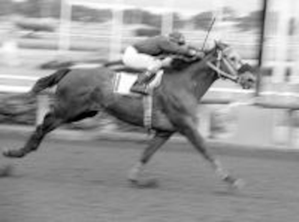 Redactor conserva su invicto con feroz acometida en la recta final