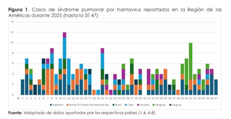 Hantavirus en Panamá: 18 casos en 2025 sin muertes, en medio de una alerta de la OPS