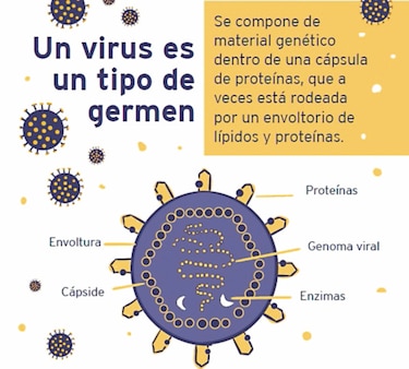 El mundo de los virus en una exhibición virtual