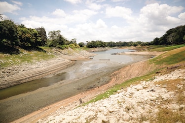 Acciones y llamados para proteger la Tierra