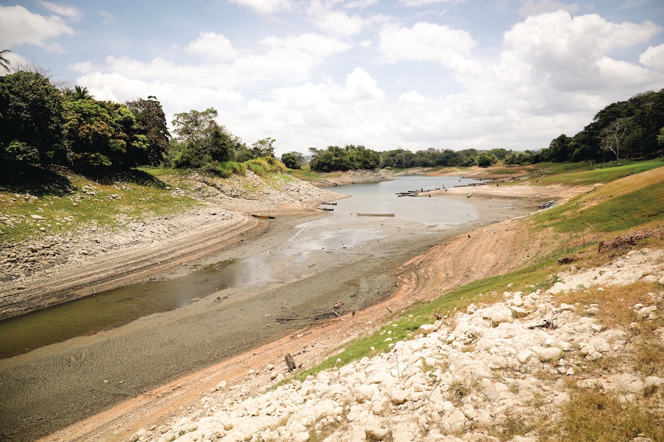 Acciones y llamados para proteger la Tierra