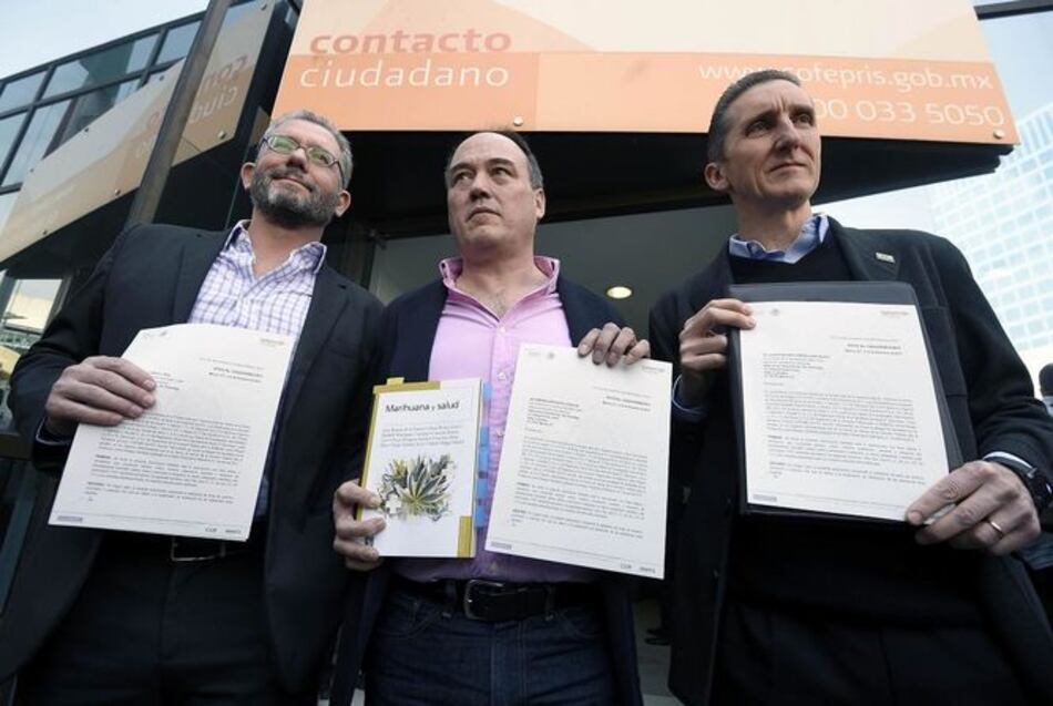 Gobierno mexicano da permiso a cuatro personas para cultivar y consumir marihuana