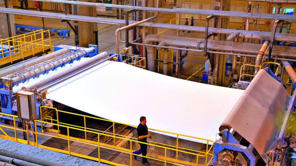 Se agita mercado de la celulosa