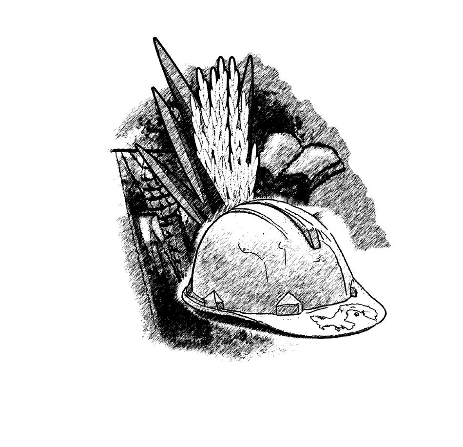 Agricultura, construcción y empleo