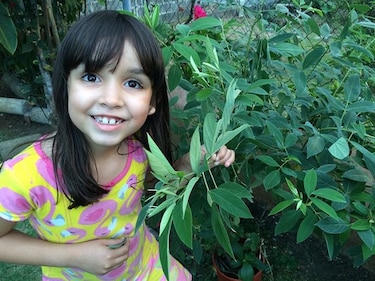 Niña halla en una planta de guandú insecto originario de Asia mortífero para cultivos