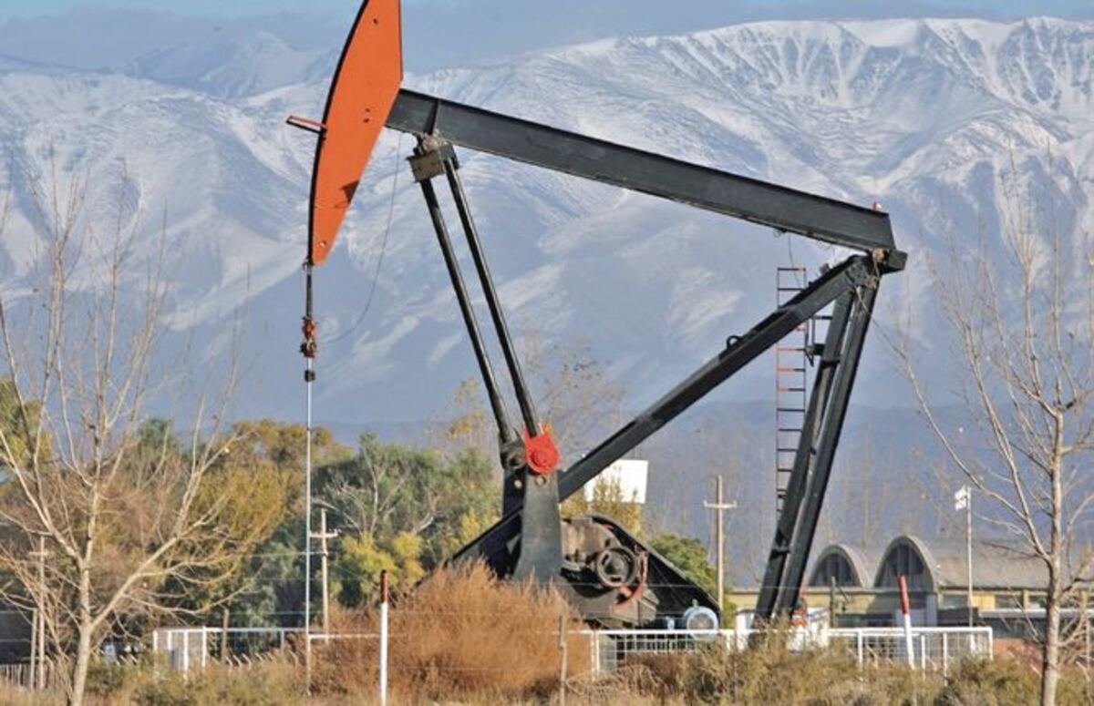Petroleras evalúan ofertas