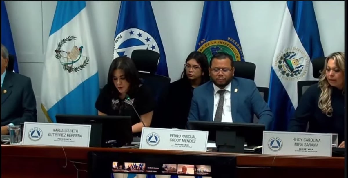 Diputados frenan en el Parlacen intento del PRD de juramentar a Cortizo y Carrizo