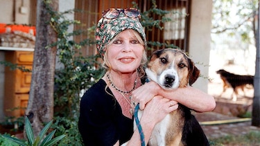 Muere a los 91 años Brigitte Bardot, el ícono del cine que abandonó su carrera para dedicarse a los derechos de los animales