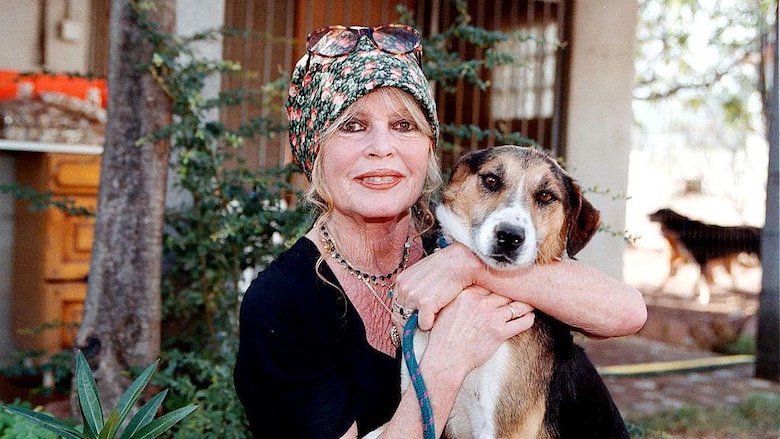 Muere a los 91 años Brigitte Bardot, el ícono del cine que abandonó su carrera para dedicarse a los derechos de los animales