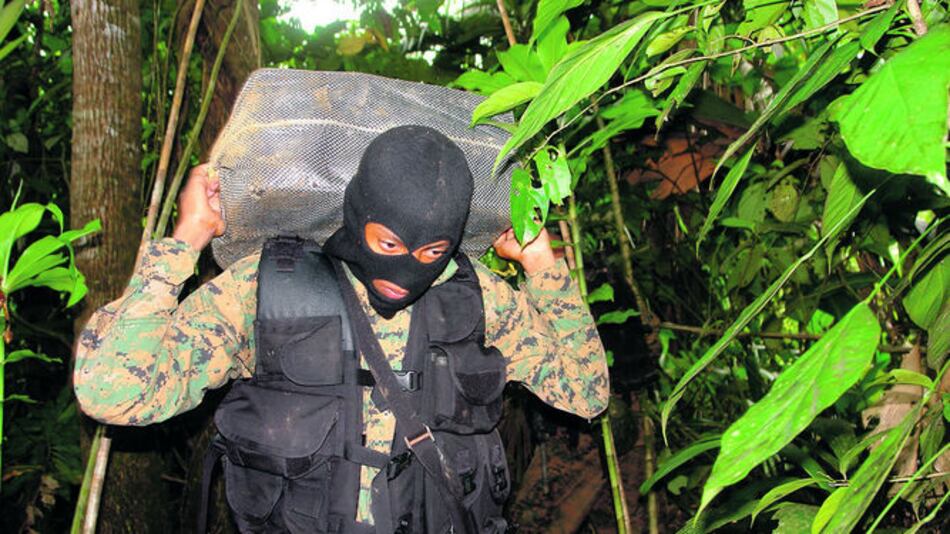 Hallan narcoalijo en Puerto Caimito