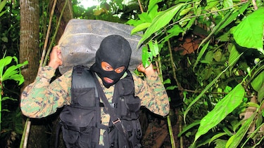 Hallan narcoalijo en Puerto Caimito