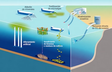 OMI establece nuevas reglas para evaluar proyectos de geoingeniería marina y proteger los océanos