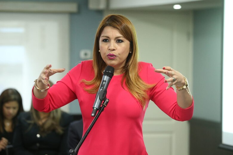 Proyecto de ley que deroga la Ley 6 de Transparencia excluye la publicación de auditorías, contratos para publicidad y los beneficiarios de incentivos fiscales