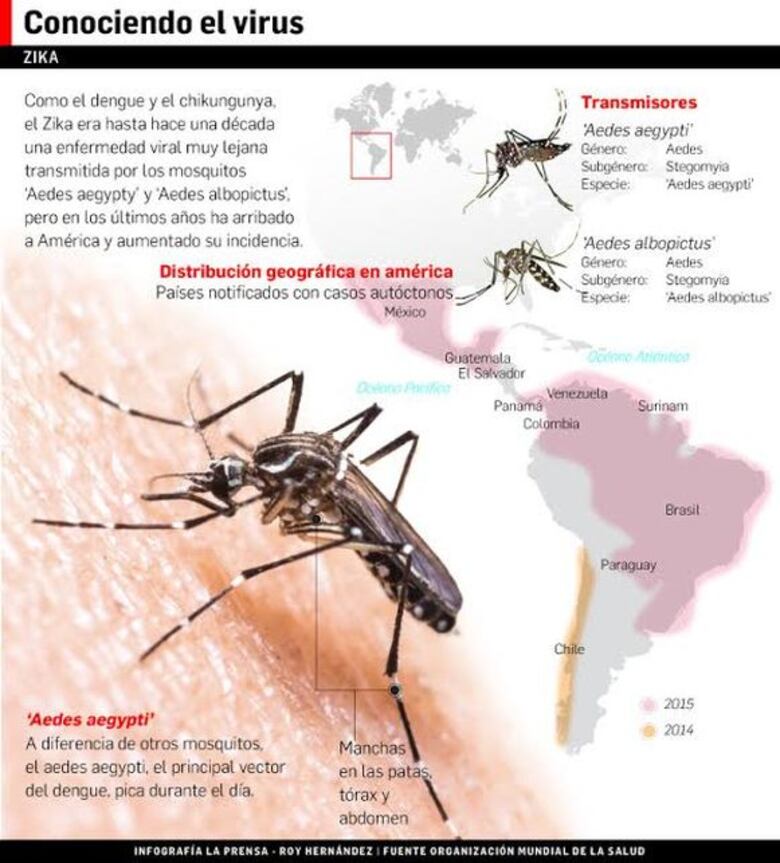 Brote de zika: OMS teme millones de enfermos en América
