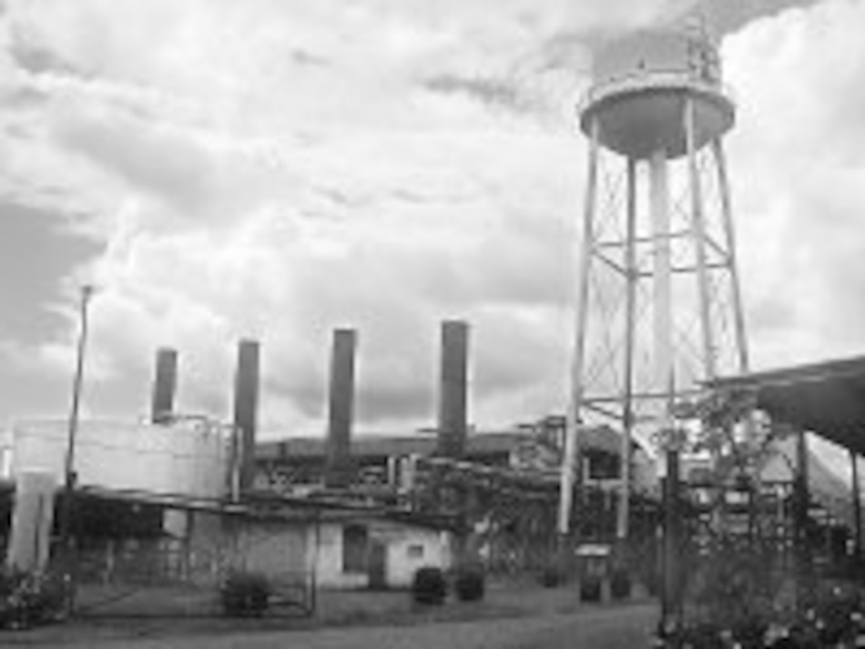 En Alanje, la caña y el etanol se ven prometedores