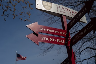 Jueza bloquea temporalmente revocación de permiso para matricular extranjeros de Harvard