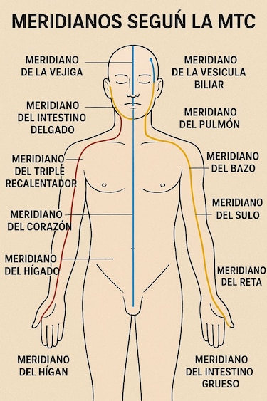 Equilibrio, prevención y cura: el papel de la medicina tradicional china en el siglo XXI