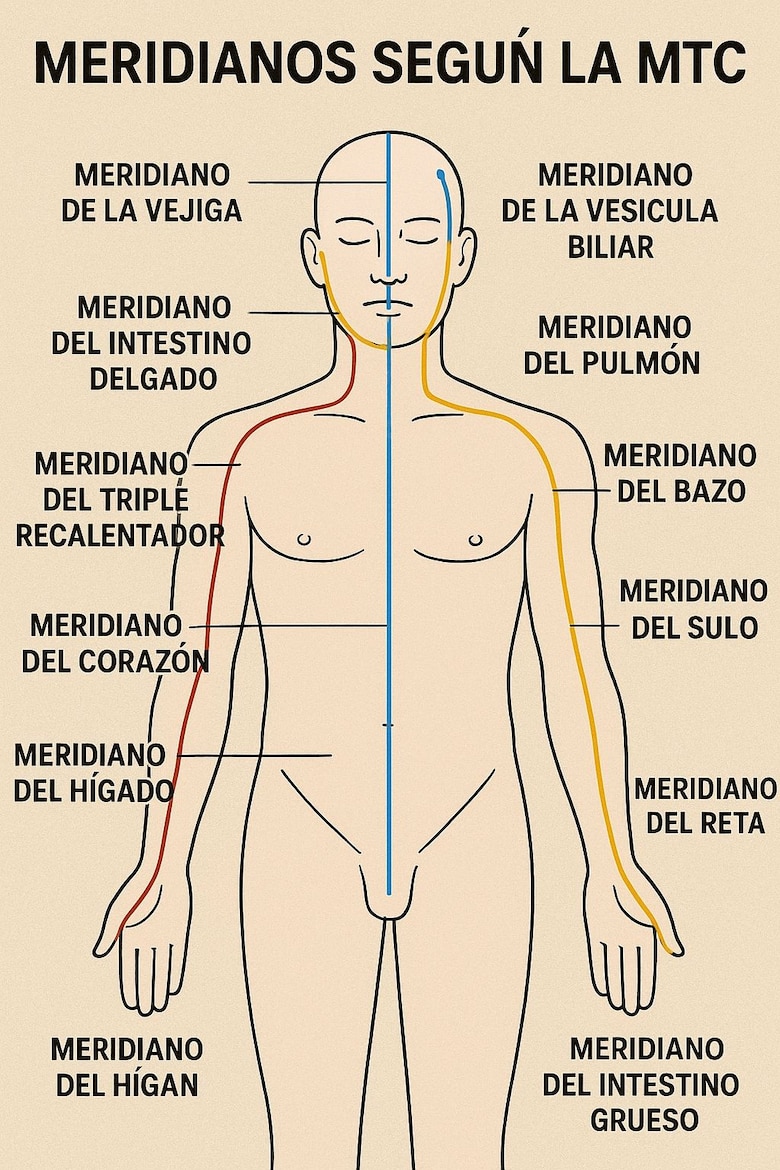 Equilibrio, prevención y cura: el papel de la medicina tradicional china en el siglo XXI