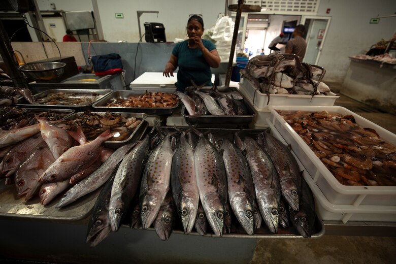 Pensamiento de pargo, retos y optimismo de mi Colón