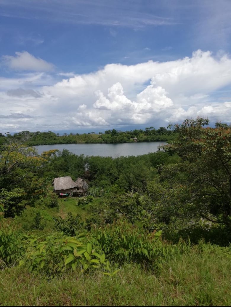 Isla Paterson, el paraíso abandonado por el Estado y que visitó ‘el diablo’