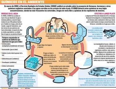 Disruptores endocrinos