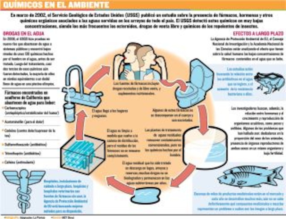 Disruptores endocrinos