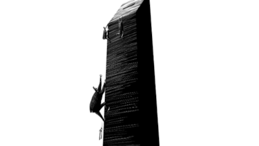 Las disfunciones electorales
