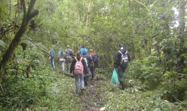 Ministerio de Ambiente restringe acceso al parque nacional Volcán Barú por mal tiempo