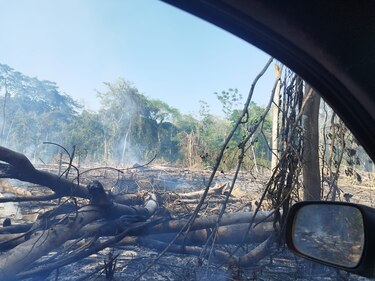 Miambiente ordena suspender construcción de  carreteras en Reserva Natural Punta Patiño