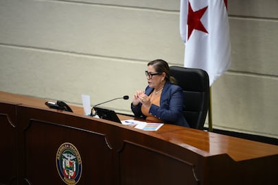 Comenzó la discusión del proyecto que reforma los circuitos electorales