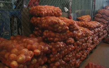 Cebolla, escasez y altos precios