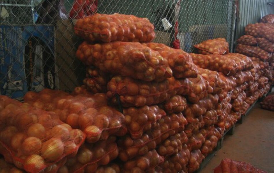 Cebolla, escasez y altos precios