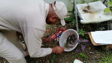 Dengue: Minsa reporta 2 mil 483 casos confirmados en todo el país